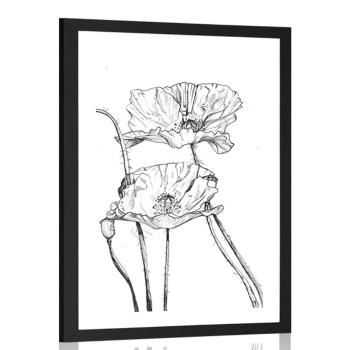 Plakat passepartout minimalistyczne kwiaty maku - 60x90 black