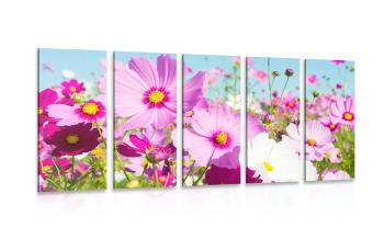 5-częściowy obraz łąka wiosennych kwiatów - 100x50