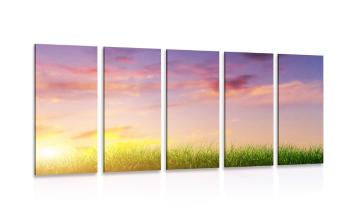 5-częściowy obraz wschód słońca nad łąką - 100x50