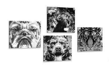 Zestaw obrazów zwierzęta w czarno-białym stylu pop art - 4x 40x40