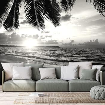 Fototapeta czarno-biała karaibska plaża - 375x250