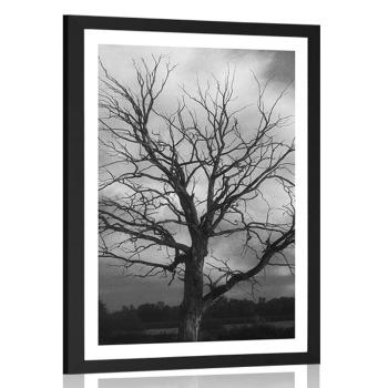 Plakat z passe-partout czarno-białe drzewo na łące - 40x60 silver