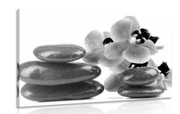 Obraz kamienie SPA i orchidea w wersji czarno-białej