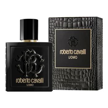 Roberto Cavalli Uomo 100 ml woda toaletowa dla mężczyzn