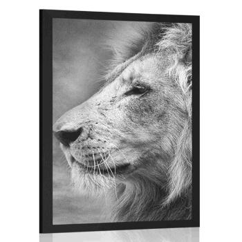 Plakat Lew afrykański w czerni i bieli - 40x60 white