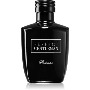 Art & Parfum Perfect Gentleman Intense woda perfumowana dla mężczyzn 100 ml