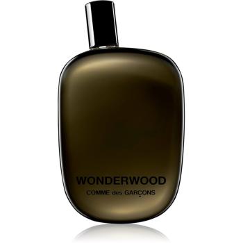 Comme des Garçons Wonderwood woda perfumowana dla mężczyzn 100 ml