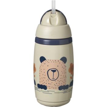 Tommee Tippee Superstar Insulated Straw termos ze słomką dla dzieci 12m+ Grey 266 ml