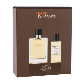 Hermes Terre d´Hermès SET1 zestaw Edt 100 ml + Żel pod prysznic 80 ml dla mężczyzn