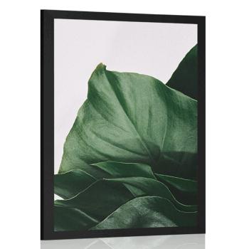 Plakat magiczny liść monstery - 20x30 black