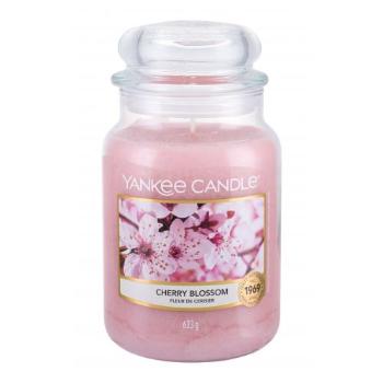 Yankee Candle Cherry Blossom 623 g świeczka zapachowa unisex