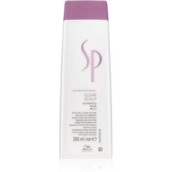 Wella Professionals SP Clear Scalp szampon przeciwłupieżowy 250 ml