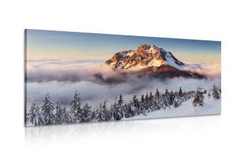 Obraz Karkonosze w śnieżnej pierzynie - 100x50