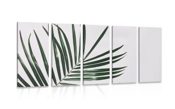 5-częściowy obraz piękny liść palmowy - 100x50
