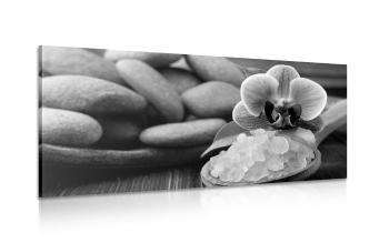 Obraz sól morska i kamienie Zen w wersji czarno-białej - 100x50