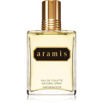 Aramis Aramis woda toaletowa dla mężczyzn 110 ml