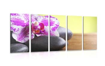 5-częściowy obraz orchidea i czarne kamienie - 200x100