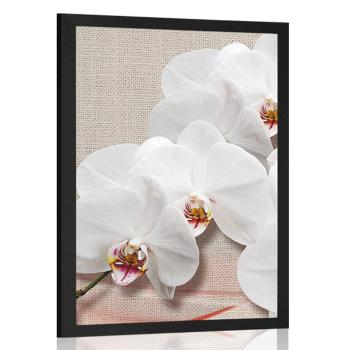 Plakat biała orchidea na płótnie - 60x90 silver