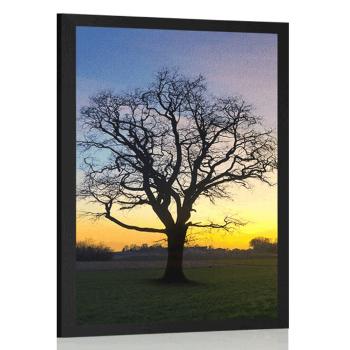 Plakat urocze drzewo - 40x60 silver