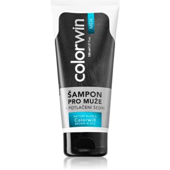 Colorwin Men szampon przeciw siwieniu włosów 150 ml