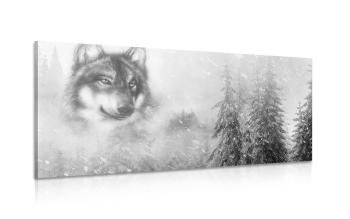 Obraz wilk w zaśnieżonym krajobrazie w wersji czarno-białej