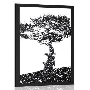 Plakat sylwetka drzewa - 60x90 white