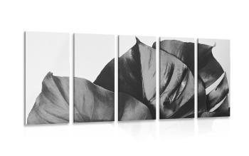 5-częściowy obraz czarno-biały liść monstery - 200x100