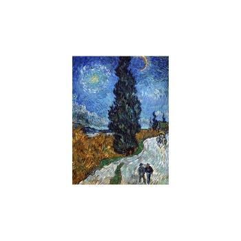 Reprodukcja obrazu Vincenta van Gogha Country Road in Provence by Night – Fedkolor, 60x80 cm
