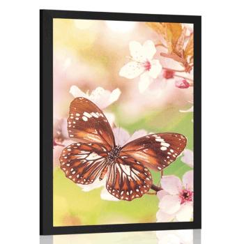 Plakat wiosenne kwiaty z egzotycznymi motylami - 40x60 white