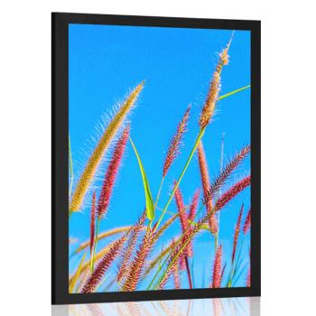 Plakat dzika trawa pod błękitnym niebem - 60x90 black
