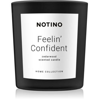 Notino Home Collection Feelin' Confident (Cedarwood Scented Candle) świeczka zapachowa 360 g