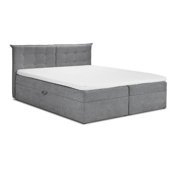 Szare łóżko dwuosobowe Mazzini Beds Echaveria, 200x200 cm