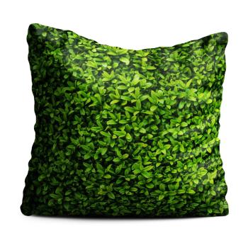 Zielona poduszka Oyo home Ivy, 40x40 cm