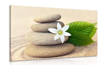 Obraz biały kwiat i kamienie w piasku