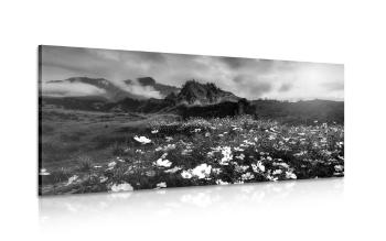 Obraz łąka kwitnących kwiatów w wersji czarno-białej - 100x50