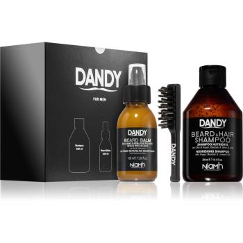 DANDY Beard gift box zestaw upominkowy (do zarostu)