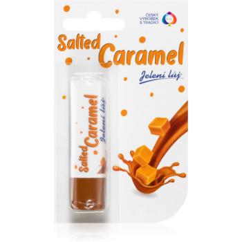 Regina Salted Caramel balsam do ust 4,5 g