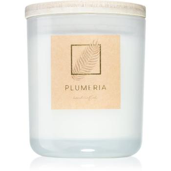 DW Home Plumeria świeczka zapachowa 264 g