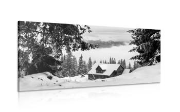 Obraz drewniany dom przy ośnieżonych sosnach w wersji czarno-białej