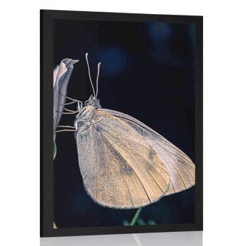 Plakat motyl na kwiatku - 30x45 black