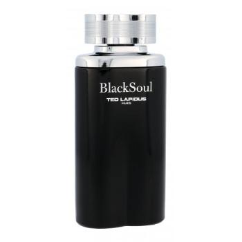Ted Lapidus Black Soul 100 ml woda toaletowa dla mężczyzn