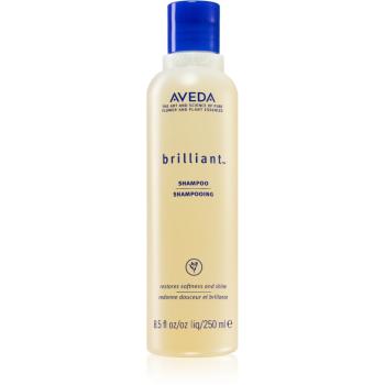 Aveda Brilliant™ Shampoo szampon do włosów rozjaśnianych 250 ml
