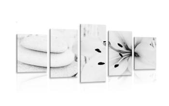 5-częściowy obraz lilie i kamienie do masażu w czarnobiałym kolorze - 100x50