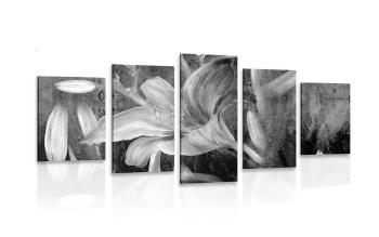 5-częściowy obraz rozkwitająca lilia w czarnobiałym kolorze - 100x50
