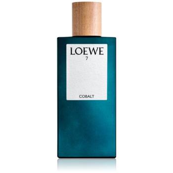 Loewe 7 Cobalt woda perfumowana dla mężczyzn 100 ml