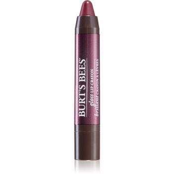 Burt’s Bees Glossy Lip Crayon szminka nabłyszczająca w w pisaku odcień Bordeaux Vines 2.83 g
