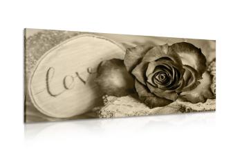 Obraz róża w sepii Love - 120x60