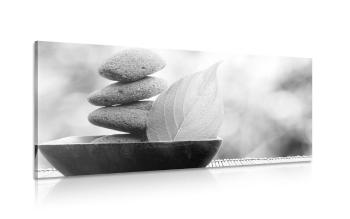 Obraz kamienie Zen i liść w misce w wersji czarno-białej - 120x60