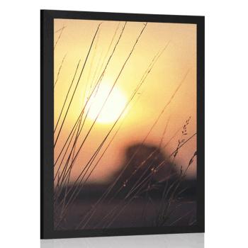 Plakat wschód słońca nad łąką - 30x45 silver