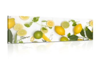 Obraz mieszanka owoców cytrusowych - 150x50